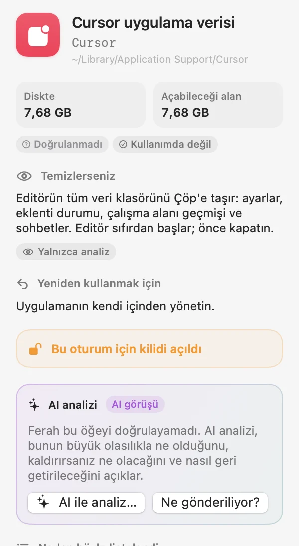 Doğrulanmamış bir öğenin ayrıntı paneli: AI analizi kutusu ve “Ne gönderiliyor?” düğmesi.